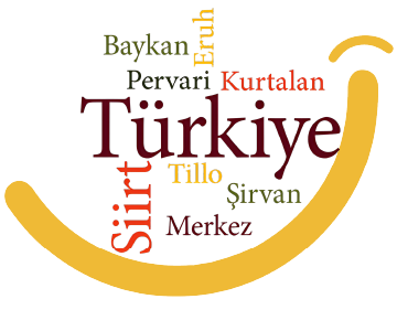 Siirt En Yakın Sigortacı | Kasko, Trafik, Sağlık Sigortası Teklifleri